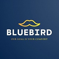 Blue Bird Pressure Washing
